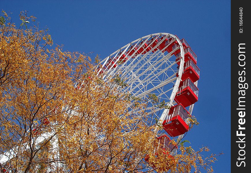 Ferris wheel at Navy Pier in Chicago, Illinois, USA