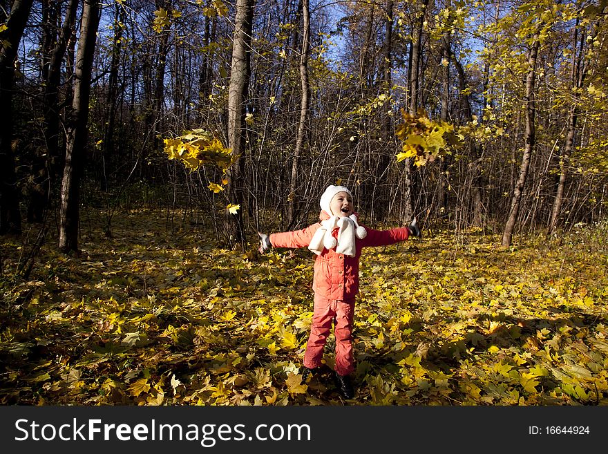 Little girl plays with dry maple leaves in a park. Little girl plays with dry maple leaves in a park