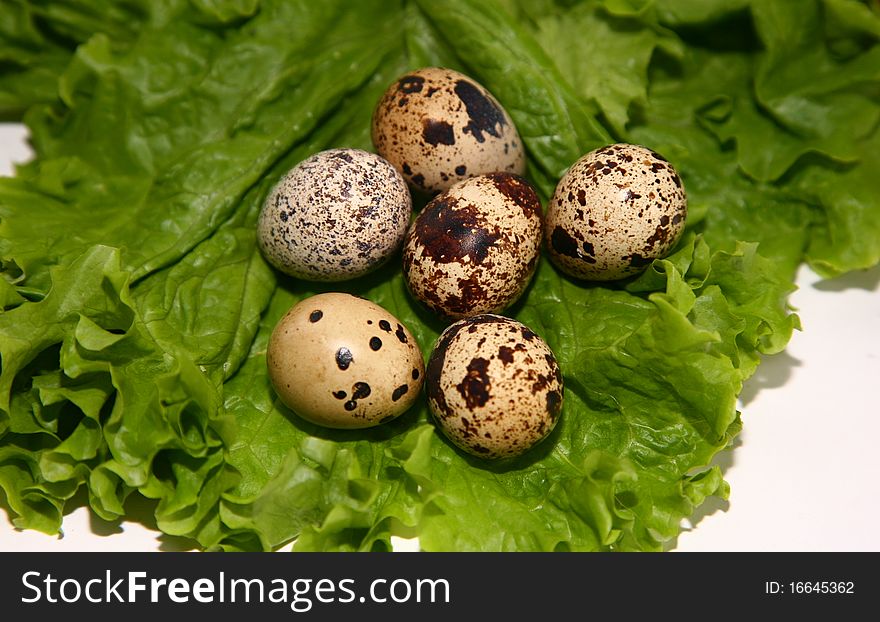 Egg quail, isolated on white background