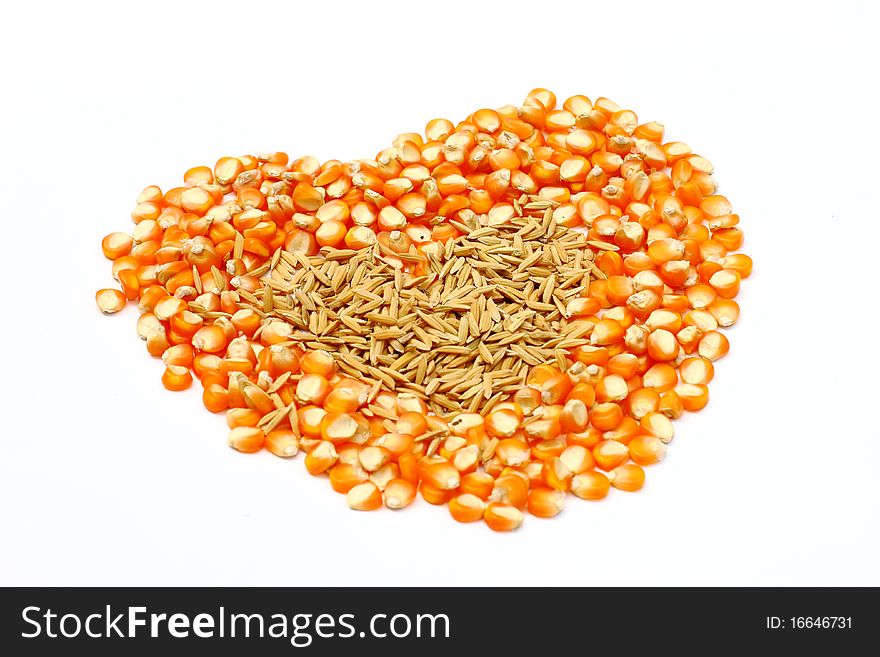 Corn Seeds Isolated