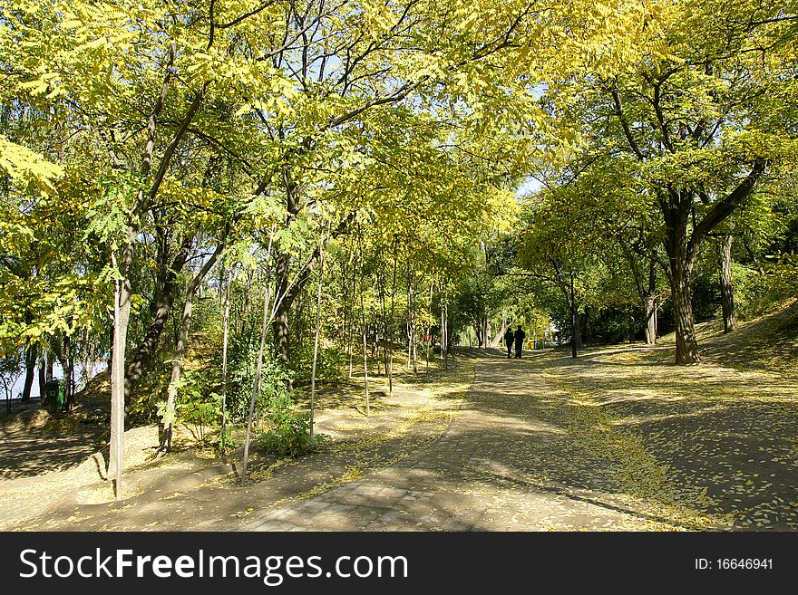 Park scenery in the autumn. Park scenery in the autumn