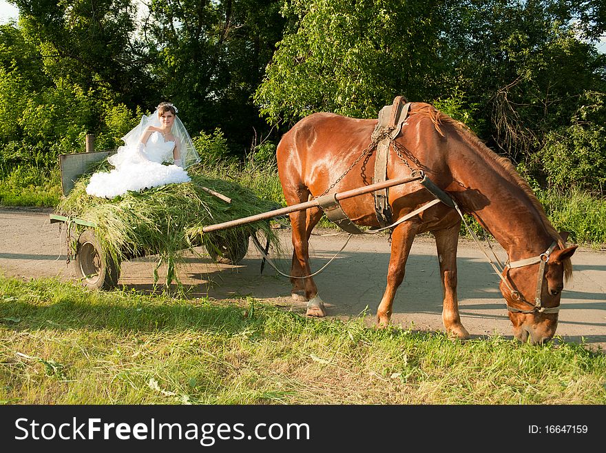 Young beautiful bride in the old carriage with hay