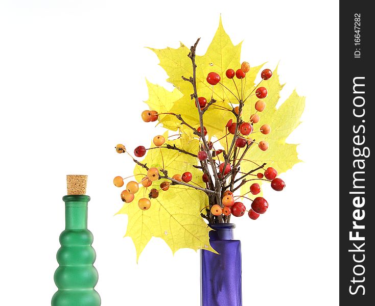 Autumn bouquet of branches with small apples and maple leaves to color a glass vase on a white background