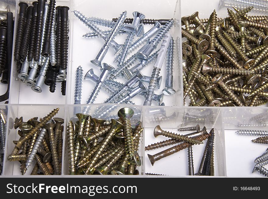 This image shows a case of different screws