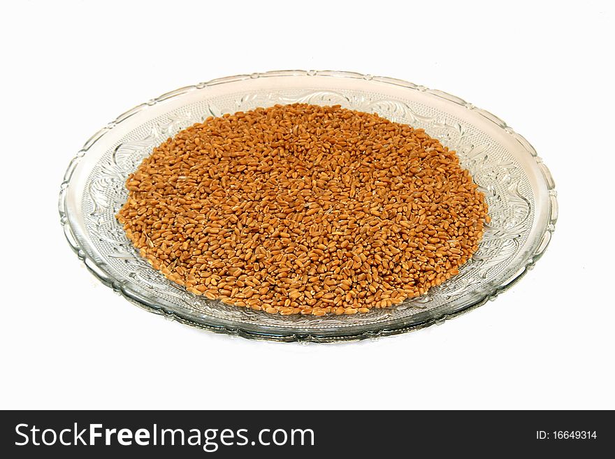 Wheat Grains in Glass Tray