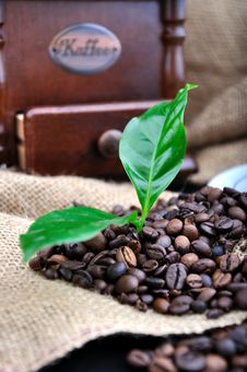 Vintage Coffee Grinder And Fresh Coffee Stock Image Vintage Coffee Grinder And Fresh Coffee Stock Image