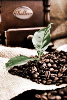 Vintage Coffee Grinder And Fresh Coffee Stock Photography Vintage Coffee Grinder And Fresh Coffee Stock Photography