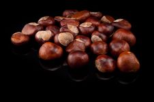 Chestnut On Black Bacground Stock Photos Chestnut On Black Bacground Stock Photos