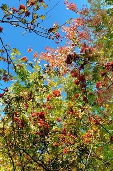Colors Of Autumn Stock Photos Colors Of Autumn Stock Photos