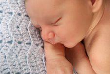 Newborn Baby Royalty Free Stock Image