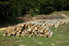 Pile Of Woods Royalty Free Stock Photos Pile Of Woods Royalty Free Stock Photos