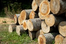 Pile Of Woods Stock Images Pile Of Woods Stock Images