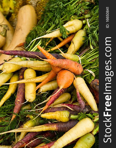 Colorful organic carrots on display at a farmer's market. Colorful organic carrots on display at a farmer's market