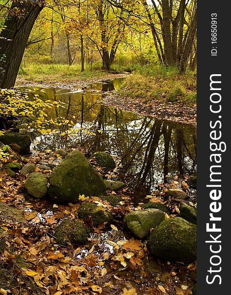 A fork in the river running through autumn woods