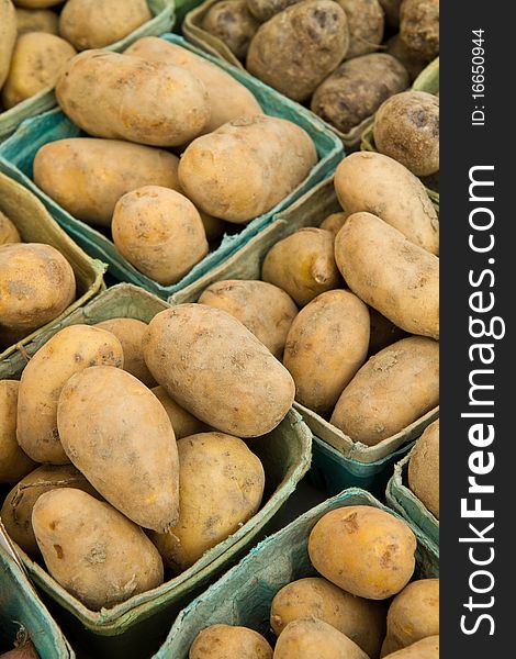 Fresh Picked Potatoes