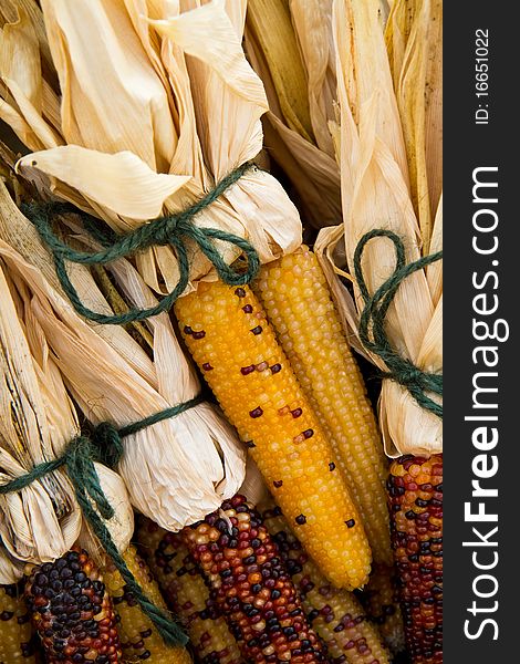 Decorative Indian Corn