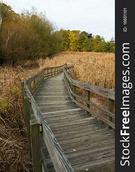 Wooden path leading to the marsh on a fall morning. Wooden path leading to the marsh on a fall morning