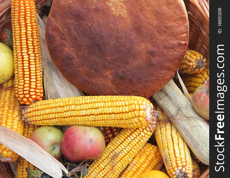 Richness of autumn, a basket full of fruits of the earth. Richness of autumn, a basket full of fruits of the earth