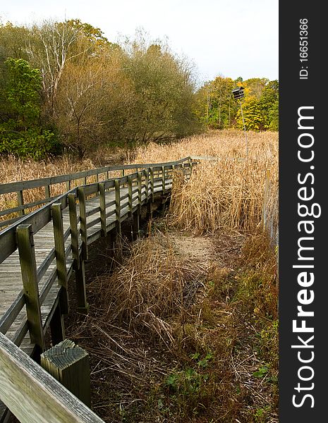 Wooden path leading to the marsh on a fall morning. Wooden path leading to the marsh on a fall morning