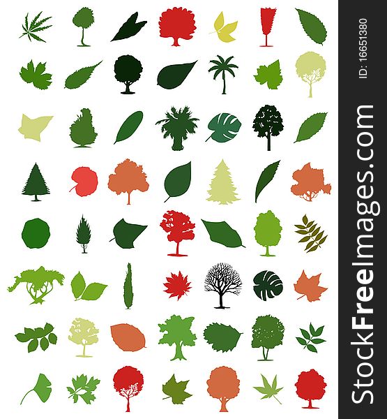 Collection of icons of trees and leaves. A  illustration. Collection of icons of trees and leaves. A  illustration