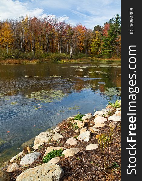 Waning colors of fall reflected in the duck pond. Waning colors of fall reflected in the duck pond