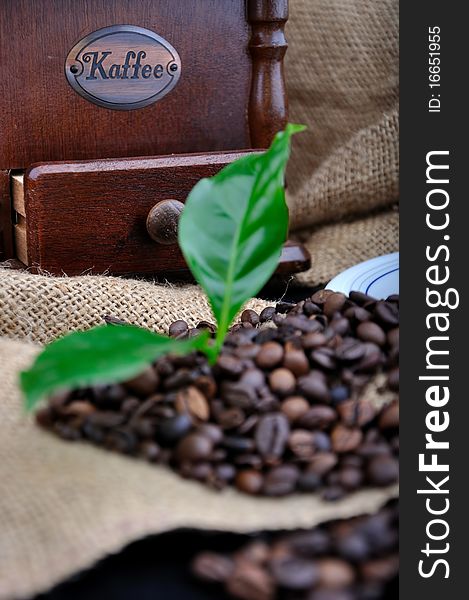 Vintage coffee grinder and coffe plant in granules. Vintage coffee grinder and coffe plant in granules