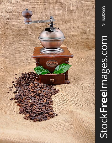 Vintage coffee grinder and coffe plant in granules