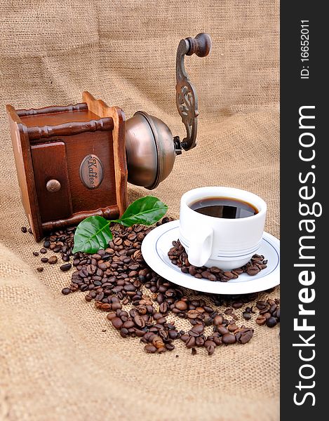 Vintage coffee grinder and coffe plant with granules