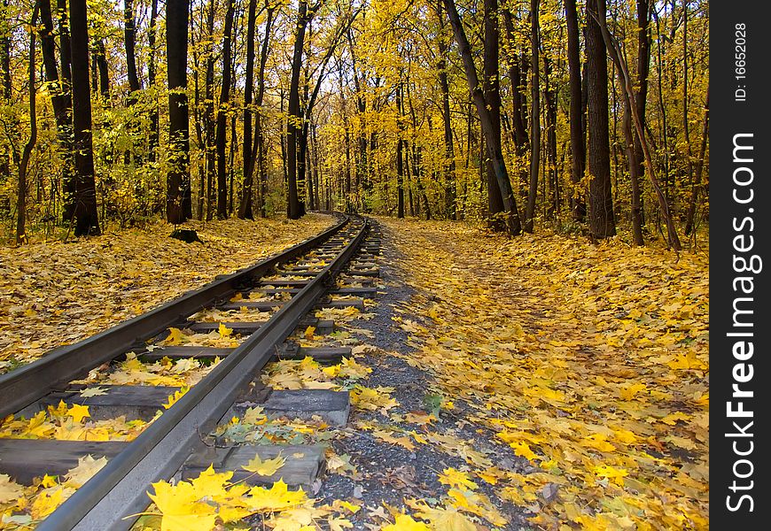 Railway passing through the forest and turn left. Railway passing through the forest and turn left