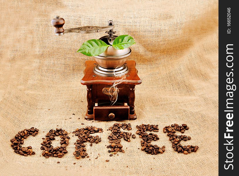 Vintage coffee grinder and sign coffe from coffee granules with coffee plant