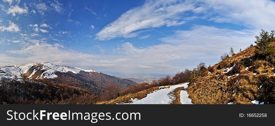 Firs snow on mountain ridge panorama