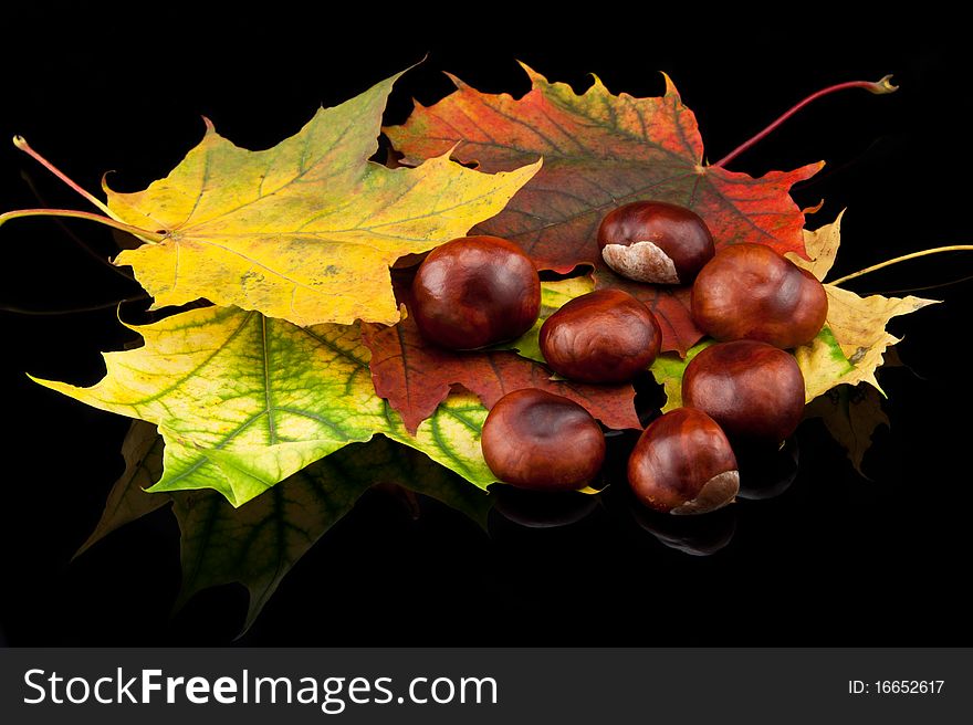Autumn composition chestnuts and leafs on black background