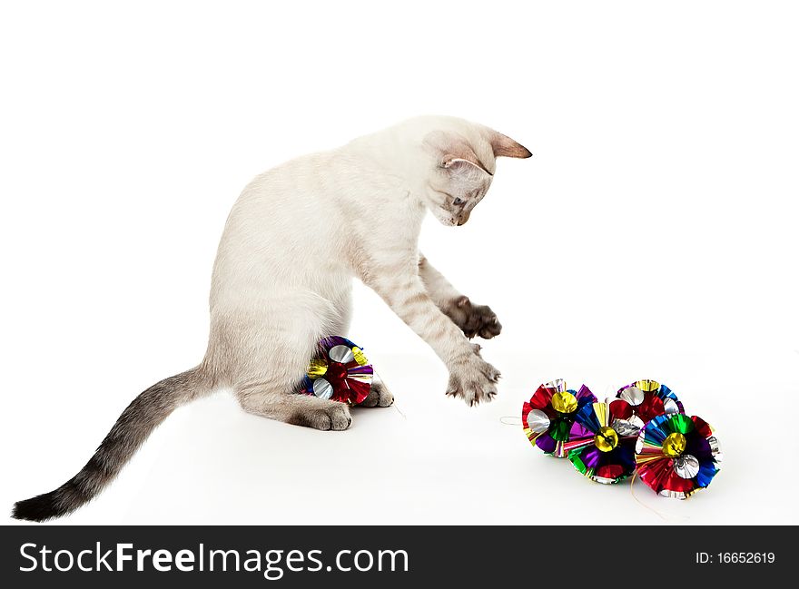 Kitten playing with Christmas ornaments.