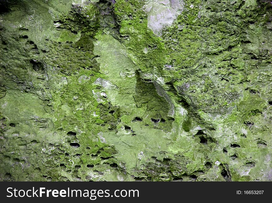 Grunge Green Wall