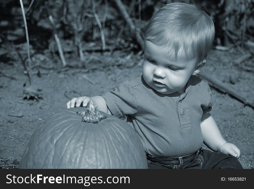 First visit to the pumpkin patch. First visit to the pumpkin patch