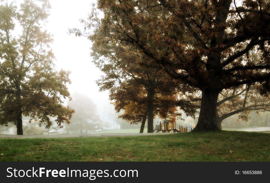 A foggy school playground with big trees in the foreground. A foggy school playground with big trees in the foreground.