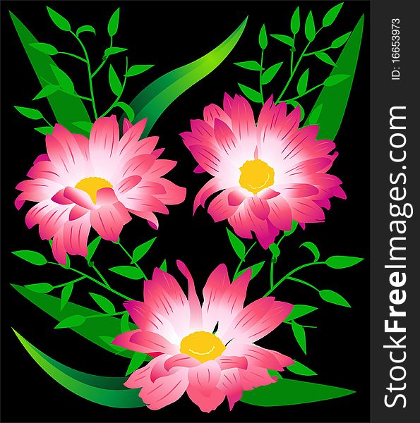 Bouquet from three flowers gerberas - a greeting card.