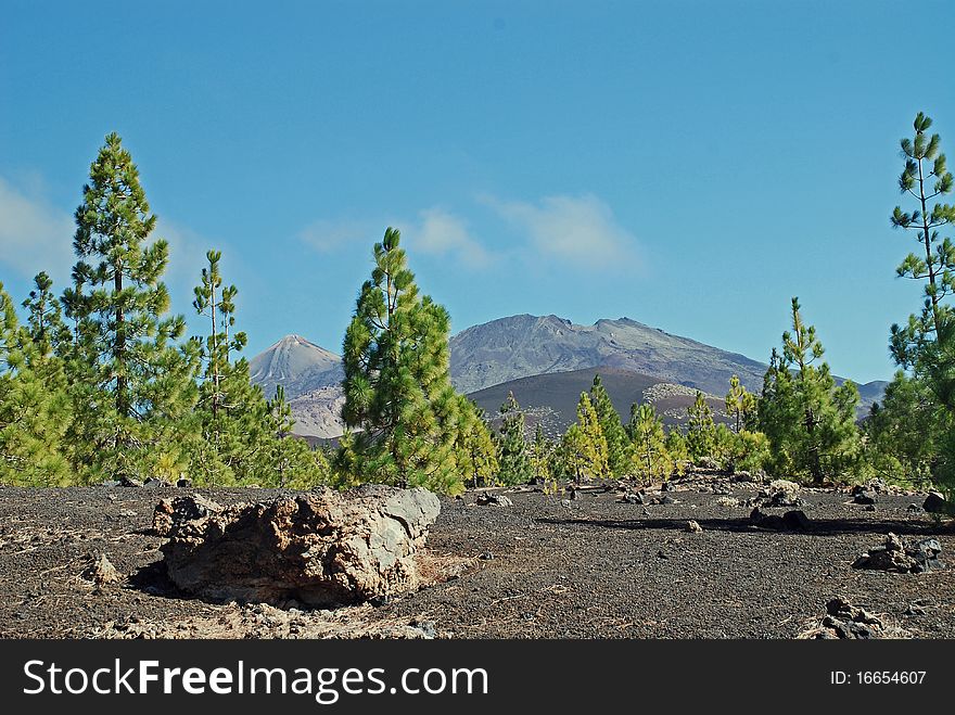 The famous national park of tenerife