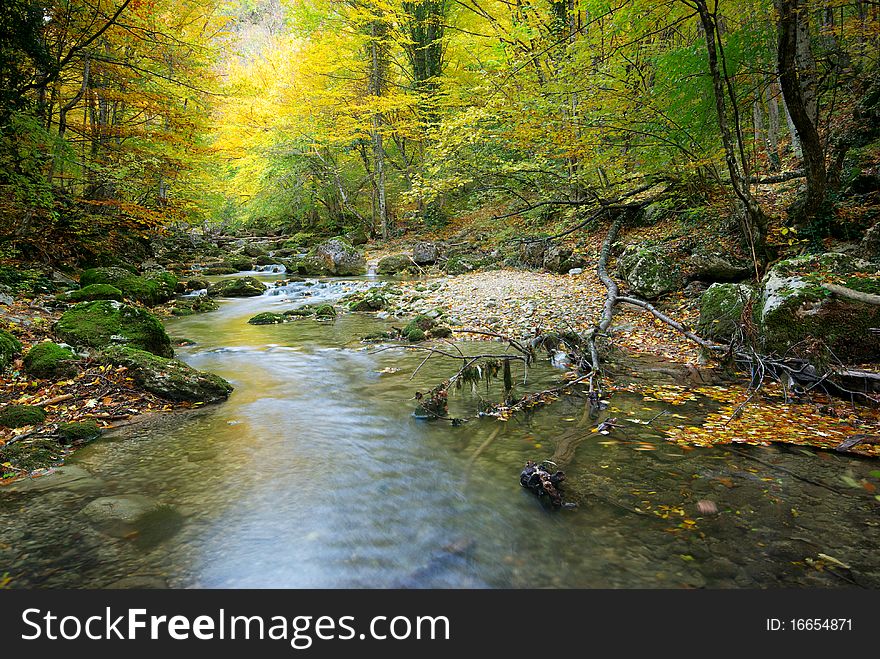 River in autumn forest. Nature composition.