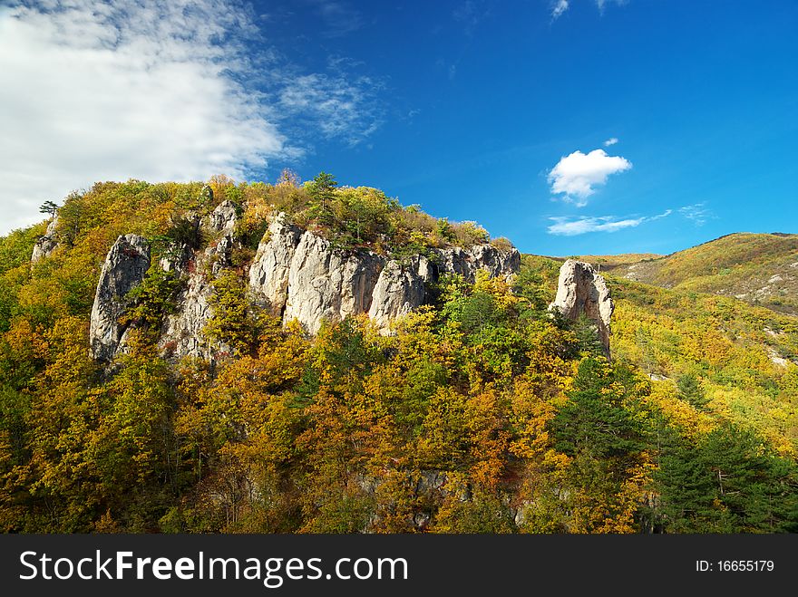 Autumn In Mountain