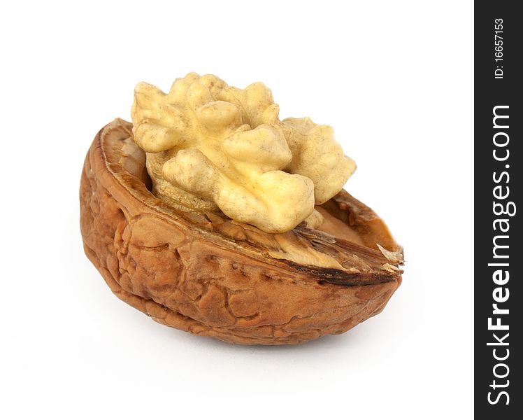 Walnut