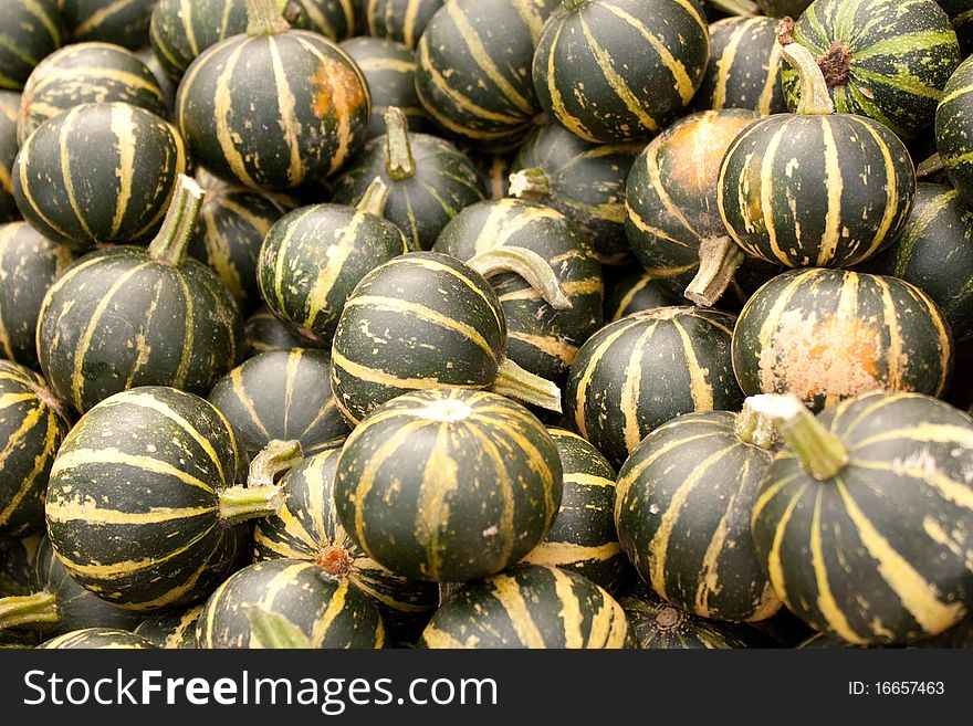 Pumpkins patch in the fall-detail,patch