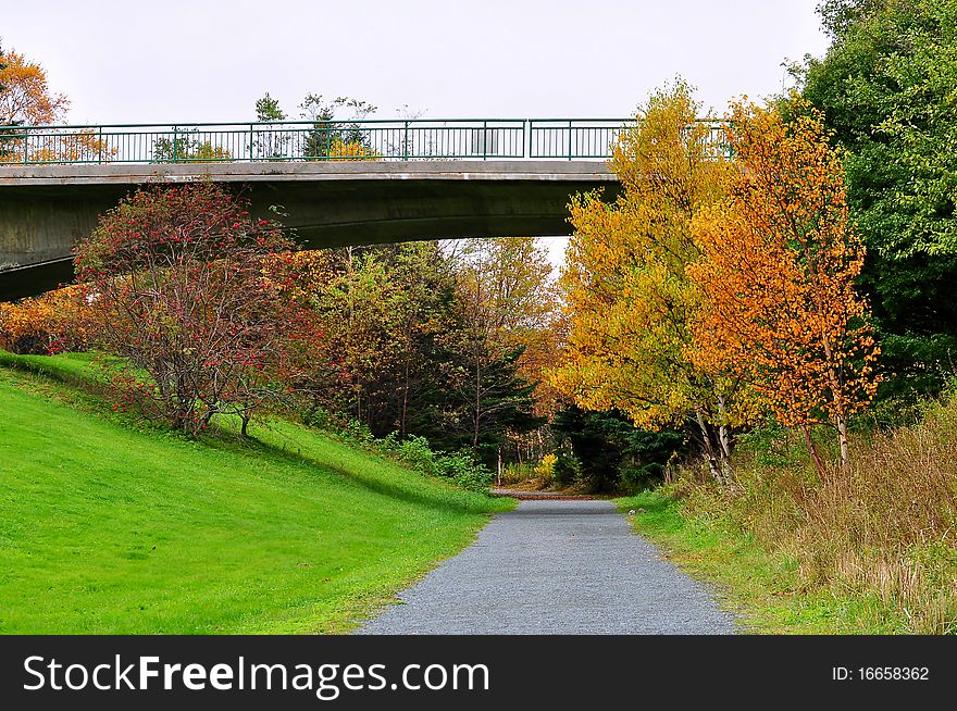 Bridge Over Walking Trail In Autumn