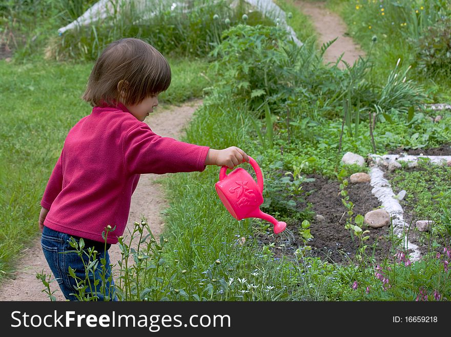 Girl with watering-can watering grass. Girl with watering-can watering grass