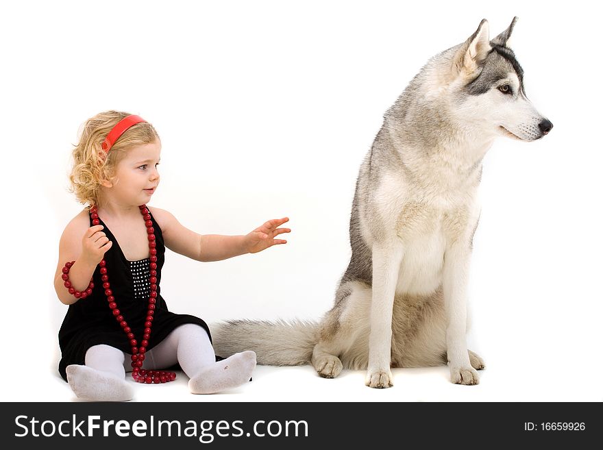 Child playing with dog isolated