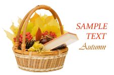 Autumn Leaves And Fruits Stock Photos