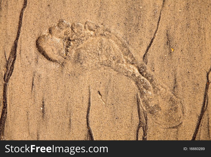 Artistic foot print in the sand on the beach