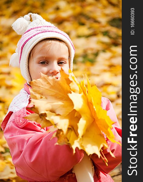 Autumn portrait of cute little caucasian girl. Autumn portrait of cute little caucasian girl