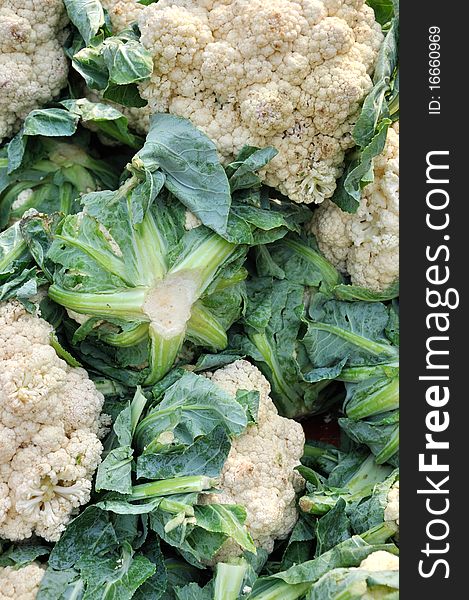 Raw cauliflower stacking for selling in super market, shown as original and fresh vegetable which is not disposed.