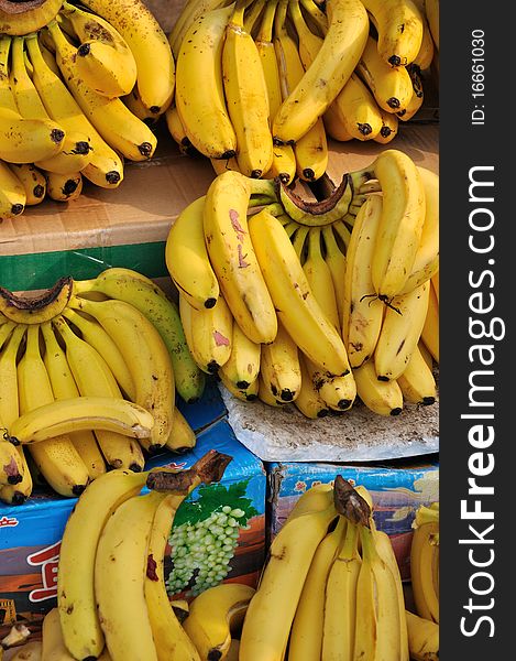 Yellow banana is arranged for selling in super market. Yellow banana is arranged for selling in super market.